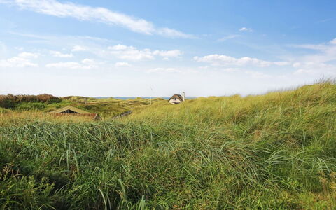 Hoat - 300M from the Sea: Cielo, Blu, Erba, Verde, Ambiente Naturale, Pascolo, Vegetazione, Ecoregione, Estate, Prateria