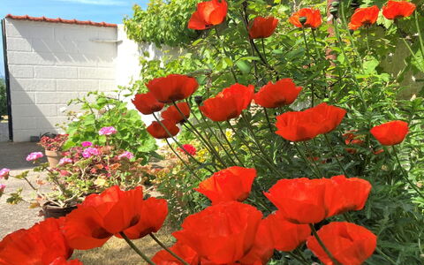 Merete - 50M from the Sea: Tetto, Casa, Casa, Villetta, Raccordo, Estate, Driveway, Edifici Giardino, Cortile, Capannone