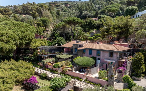 Argentarola House, Porto Santo Stefano, Seaview An: Pianta, Proprietà, Comunita 'Impianto, Cielo, Costruzione, Albero, Vegetazione, Biome, Paesaggio Naturale, Casa