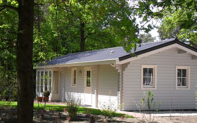 Alloggio:&nbsp;Fins Chalet 4 301.6