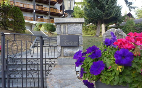 Résidence la Fenière 03: Pianta, Fiore, Botanica, Viola, Costruzione, Albero, Petalo, Vaso Di Fiori, Recinzione, Groundcover