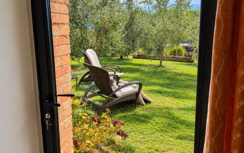 Lina - Podere Ribatti - Casole D'elsa, Toscana: Luce Del Sole, Color Legno, Giardino, Backyard, Landscaping, Latifoglie, Porta A Casa, Eco Hotel, Hacienda