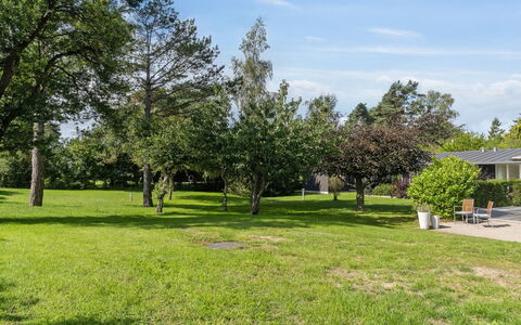 Rother - 50M from the Sea: Tetto, Casa, Porta, Villetta, Shade, Raccordo, Cortile, Estate, Backyard