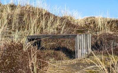 Pauli - 350M from the Sea