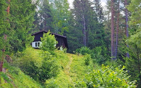 Lieblingsplatz: Pianta, Finestra, Paesaggio Naturale, Albero, Legna, Larice, Casa, Sempreverde, Impianto Terrestre, Groundcover