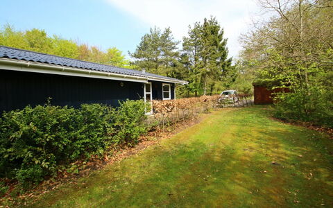Aki - 30Km from the Sea: Erba, Arbusto, Casa, Casa, Villetta, Lotto, Giardino, Groundcover, Prato, Backyard