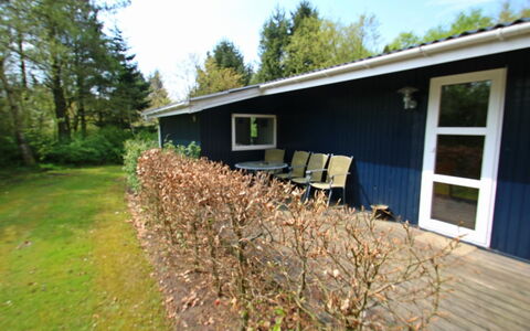 Aki - 30Km from the Sea: Arbusto, Villetta, Casa, Casa, Prato, Giardino, Raccordo, Cortile, Backyard, Shade