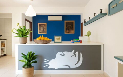L'Oasi della Gatta Panciona: Interior Design, Adesivo Da Parete, Mobilia, Cucina, Dipingere, Controsoffitto, Camera, Cabinetry, Soffitto, Design