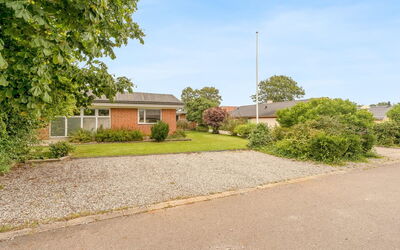 Elaine - 350M from the Sea