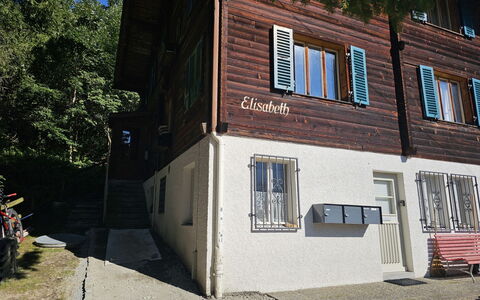 Elisabeth: Pianta, Finestra, Costruzione, Albero, Legna, Facciata, Manto Stradale, Urban Design, Uso Misto