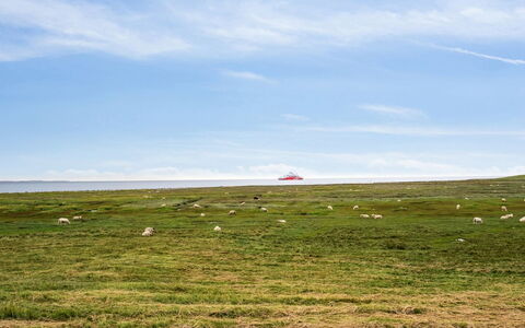 Rohan - 2.2Km from the Sea: Tetto, Casa, Casa, Villetta, Porta, Raccordo, Deck, Portico, Plank, Latifoglie