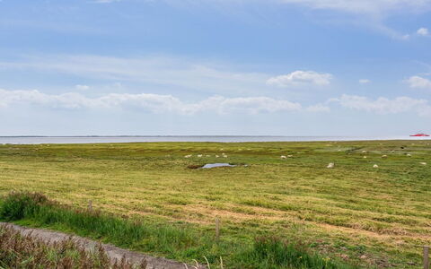 Rohan - 2.2Km from the Sea: Tetto, Casa, Casa, Villetta, Porta, Raccordo, Deck, Portico, Plank, Latifoglie