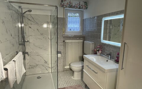 Spatzenparadies: Idraulico Fixture, Lavello, Specchio, Proprietà, Mobiletto Del Bagno, Rubinetto, Cabinetry, Bagno, Soffione Doccia, Pannello Doccia