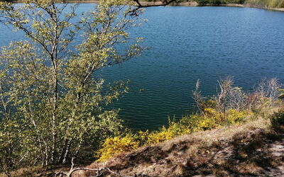 Helmi - 1Km from the Sea