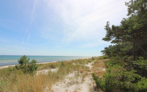 Eftim - 600M from the Sea