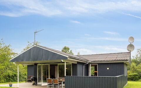 Sunaj: Tetto, Casa, Porta, Villetta, Shade, Raccordo, Cortile, Estate, Backyard