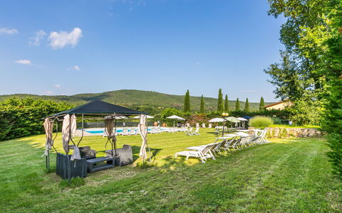 Rosa+Margherita+Lavanda+Ginestra+Gelsomi: Acqua, Cielo, Piscina, Pianta, Azzurro, Blu, Albero, Mobili Da Esterno, Costruzione, Shade