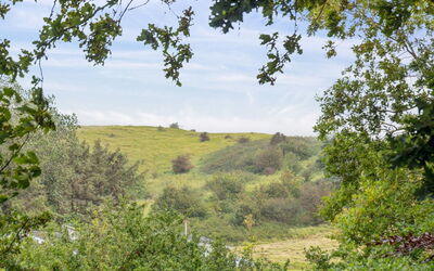 Gundhild - 250M from the Sea