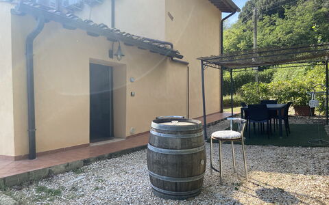 Villa Le Ripe - Gambassi Terme, Toscana: Pianta, Costruzione, Canna, Automotive Pneumatico, Lotto, Shade, Legna, Albero, Biome, Casa
