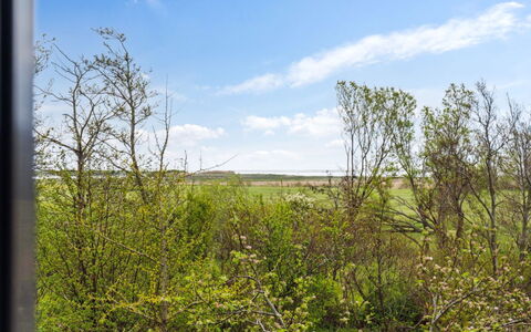 Othinkarl - 1Km from the Sea: Erba, Pascolo, Paesaggio, Ecoregione, Plain, Comunita 'Impianto, Lotto, Mobili Da Esterno, Prateria, Shrubland