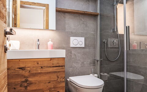 Pontresina 15: Idraulico Fixture, Bagno, Pavimentazione, Toilet Seat, Gabinetto, Interior Design, Pavimento, Lavello, Rubinetto, Mobiletto Del Bagno