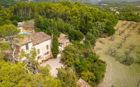 Sa Bisbal: Costruzione, Pianta, Comunita 'Impianto, Finestra, Verde, Paesaggio Naturale, Albero, Casa, Lotto, Vegetazione