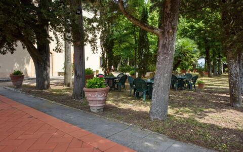 Villa Badiuzza: Pianta, Albero, Vaso Di Fiori, Manto Stradale, Shade, Urban Design, Erba, Tempo Libero, Città, Ricreazione