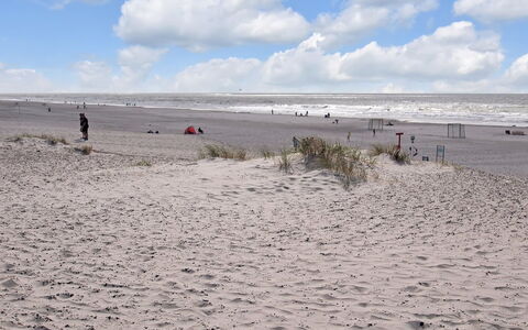 Thrugils - 500M from the Sea: Ambiente Naturale, Spiaggia, Sabbia, Ecoregione, Riva, Costa, Mare, Oceano, Wind Wave