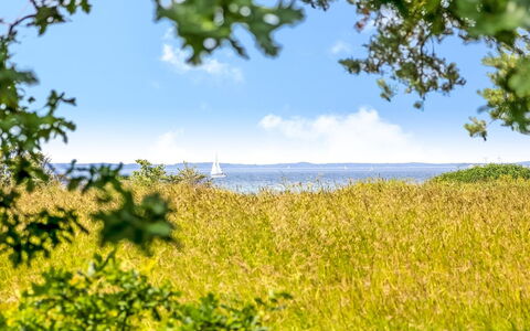 Thara - 100M from the Sea: Cielo, Blu, Verde, Giorno, Vegetazione, Giallo, Orizzonte, Estate, Pascolo, Paesaggio Naturale