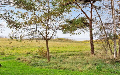 Thara - 100M from the Sea: Zona Residenziale, Arbusto, Casa, Casa, Giardino, Estate, Shade, Landscaping, Prato