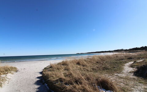 Kirsi - 200M from the Sea: Tetto, Casa, Porta, Villetta, Shade, Raccordo, Cortile, Estate, Backyard