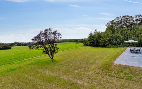 Landuin - 30Km from the Sea: Erba, Pascolo, Paesaggio, Ecoregione, Plain, Comunita 'Impianto, Lotto, Mobili Da Esterno, Prateria, Shrubland