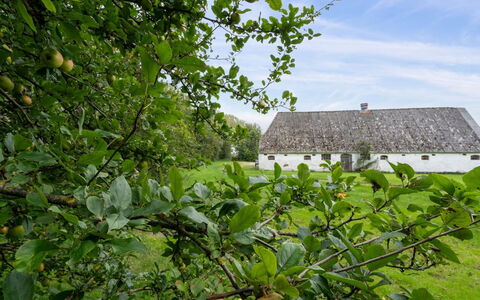 Landuin - 30Km from the Sea: Erba, Pascolo, Paesaggio, Ecoregione, Plain, Comunita 'Impianto, Lotto, Mobili Da Esterno, Prateria, Shrubland