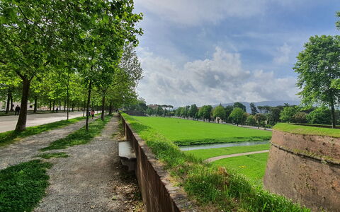 Casa Toto: Verde, Erba, Plain, Groundcover, Giardino, Prato, Landscaping, Passerella, Parco, Piantagione
