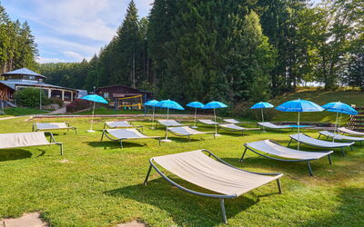 Luxe Timber Lodge & Pet Retreat