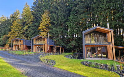Luxe Timber Lodge & Pet Retreat
