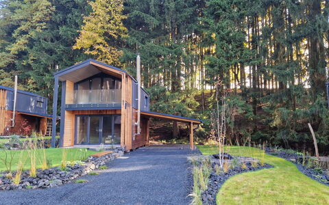 Luxe Timber Lodge & Relaxing Bath: Pianta, Natura, Albero, Paesaggio Naturale, Lotto, Legna, Biome, Villetta, Costruzione, Zona Residenziale