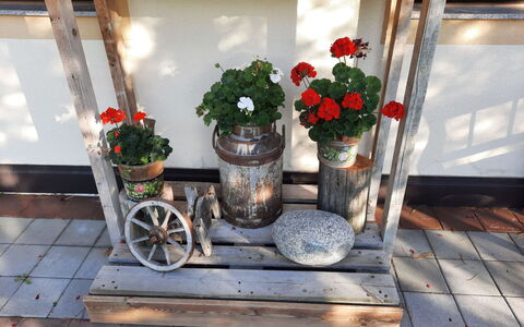 Neukirchen am Großvenediger 700: Fiore, Pianta, Proprietà, Vaso Di Fiori, Costruzione, Tavolo, Pianta Della Casa, Finestra, Vaso, Legna