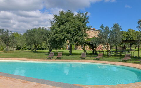 Il Piccione: Albero, Estate, Shade, Hacienda, Piscina, Giardino, Prato, Landscaping, Cortile