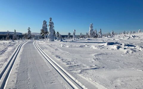 Vuolkuma C: Legna, Neve, Inverno, Villetta, Congelamento, Casa, Log Cabin, Larice, Raccordo