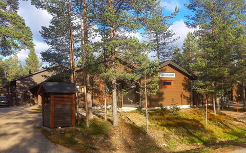 Vuolkuma C: Legna, Neve, Inverno, Villetta, Congelamento, Casa, Log Cabin, Larice, Raccordo