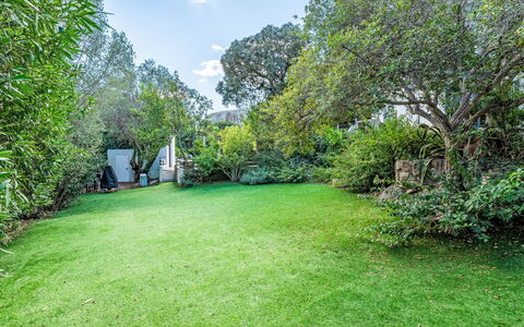 Villa Romana: Arbusto, Giardino, Prato, Lotto, Groundcover, Shade, Primavera, Backyard, Luce Del Sole