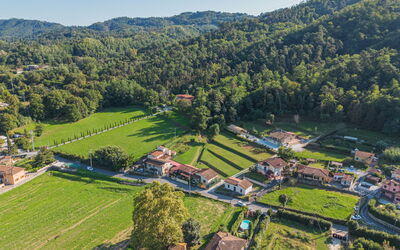 Oleandro