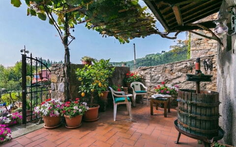 La Casa del Fale di Collodi: Vaso Di Fiori, Pianta Della Casa, Primavera, Giardino, Fiorai, Balcone, Cortile, Disegno Floreale