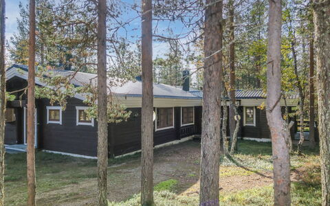 Alkuvilla: Albero, Legna, Ramo, Casa, Lotto, Villetta, Woodland, Tronco, Shade, Estate