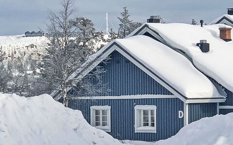 Sinitaivas: Legna, Neve, Inverno, Villetta, Congelamento, Casa, Log Cabin, Larice, Raccordo