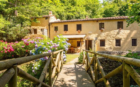 Molin Barletta, Private Pool, Nature - Marliana, T: Pianta, Fiore, Costruzione, Finestra, Proprietà, Albero, Legna, Recinzione, Casa, Giallo