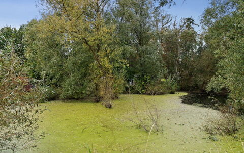 Tessa - 1.6Km from the Sea: Legna, Mobilia, Appartamento, Camera, Soffitto, Color Legno, Sedia, Latifoglie, Vernice, Legname