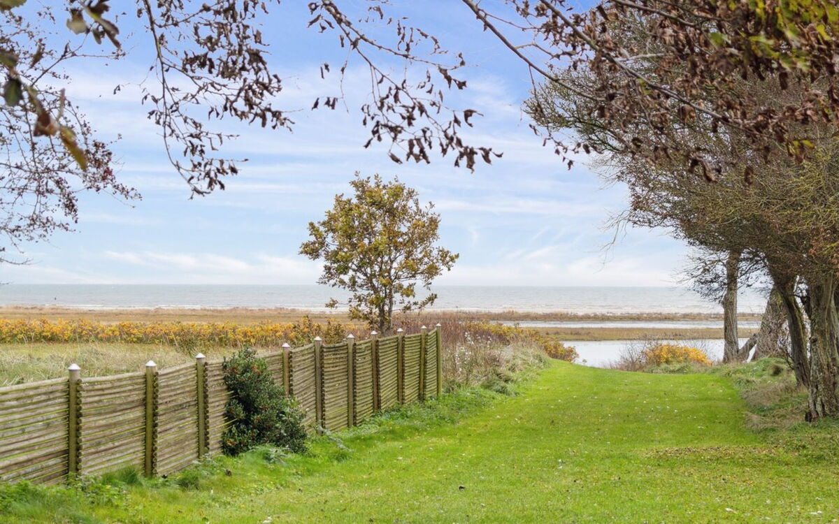 bertold - 100m From The Sea