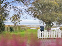 bertold - 100m From The Sea